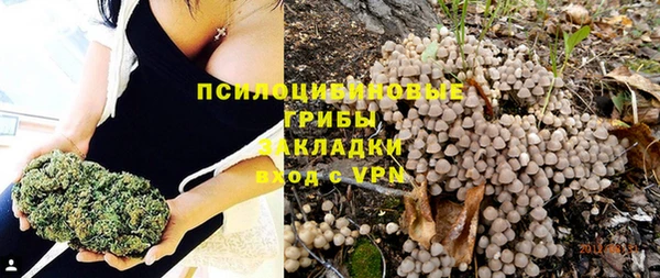 ешки Алексеевка